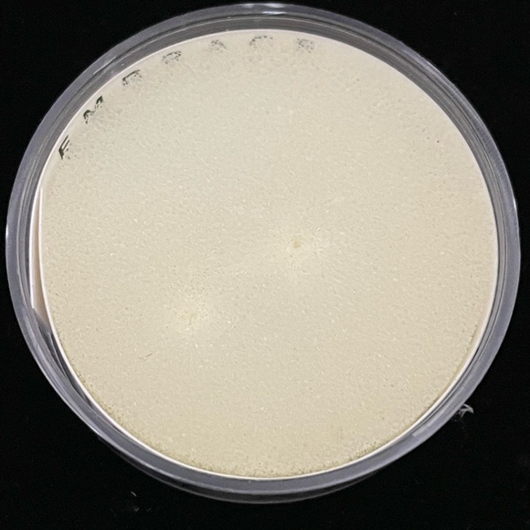 Alex and Ani Anchor Stud .925 Sterling Silver Post Earrings - Picture 7 of 10